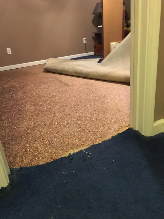 Carpet pad removal revealing water damage during Drying & Dehumidification in Litchfield